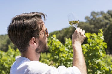 Excursão vinícola pela Provença e vilas Luberon saindo de Aix en Provence